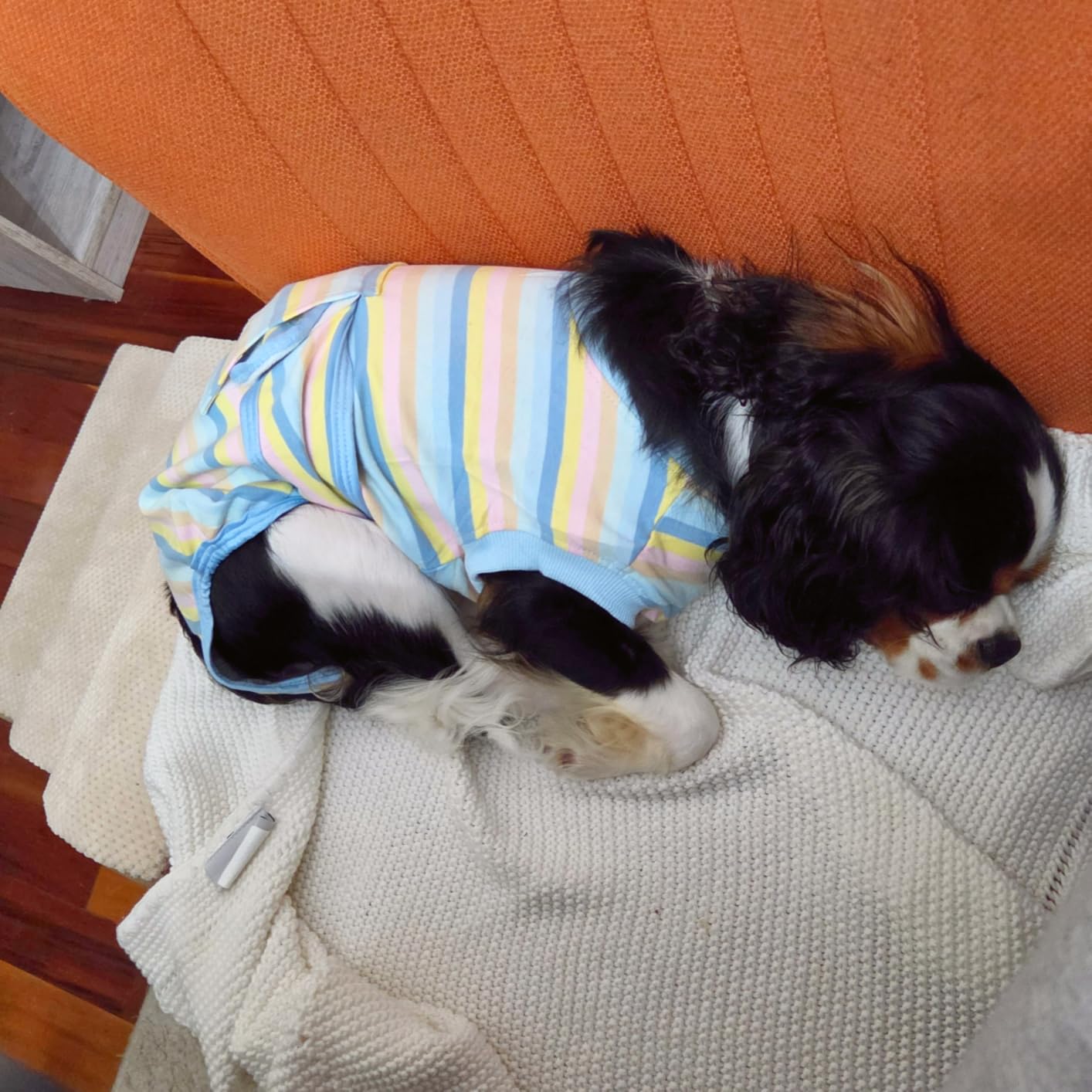 FUAMEY Recovery Suit for Dogs After Surgery,Soft Breathable Dog Bodysuit customer photo 1