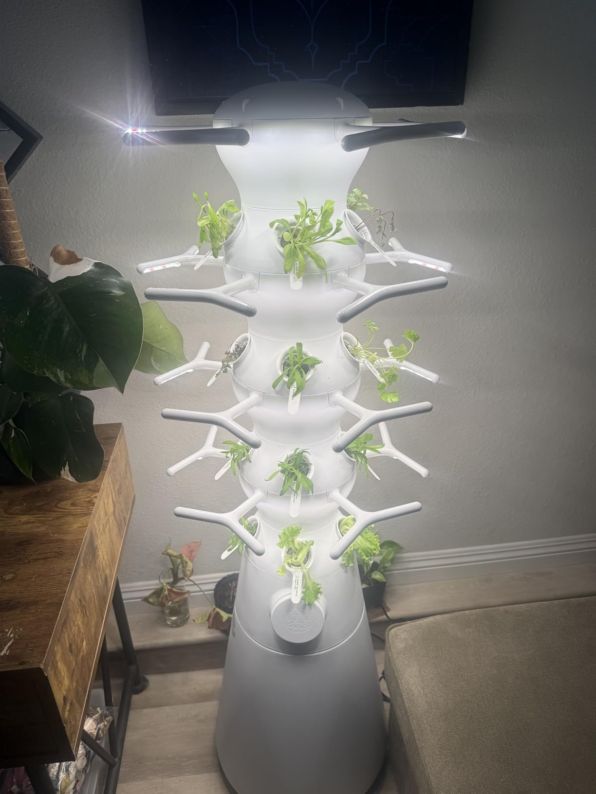Lettuce Grow Farmstand Nook 4ft.7