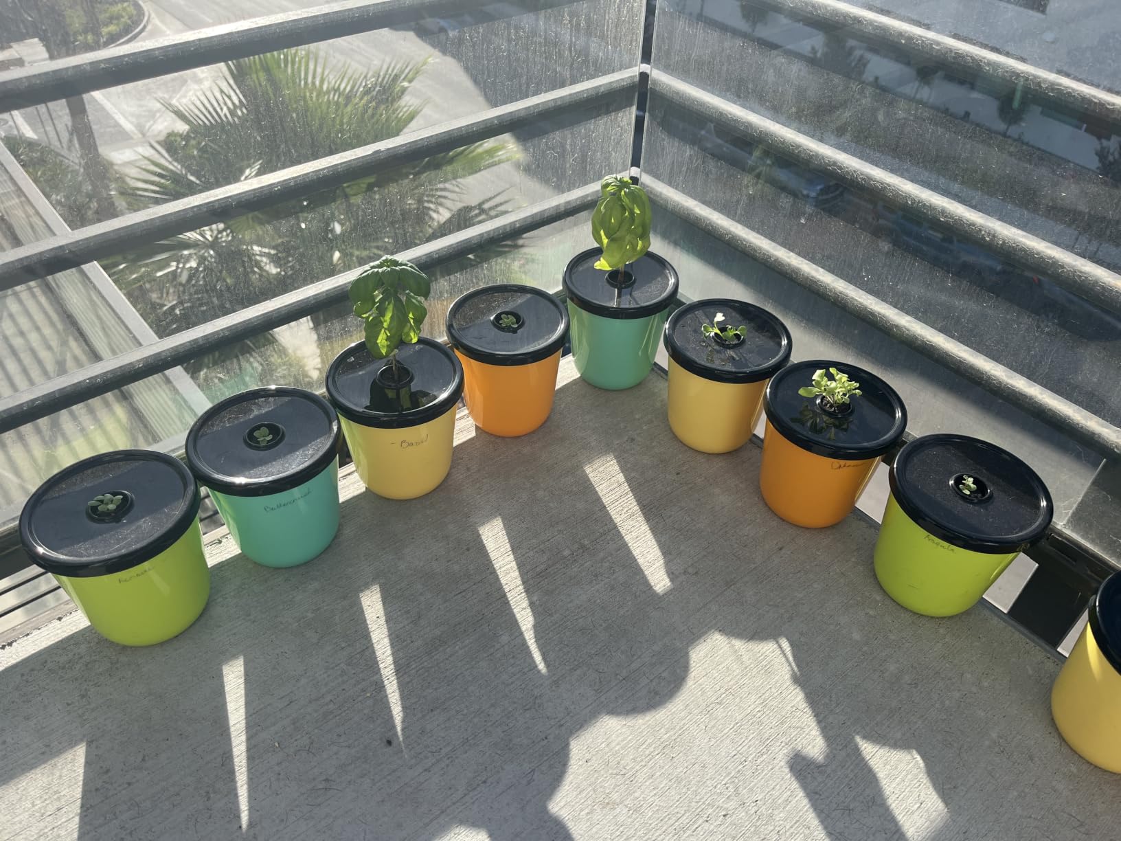 Kratky Method Hydroponic Planter Kit, 8 Hydroponic Planter Plus 24 Growing Sponges for Herbs, Hydroponic Mini Buckets for Windowsill Herb Garden, Hydroponic Growing System for Vegetables customer photo 2