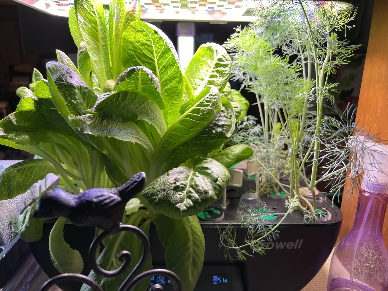 Hydroponics Growing System Kit, 17 Pods Herb Garden with 102 28W Full-Spectrum Grow Lights & 2 Fans, Indoor Garden with Water Pump, 10L Water Tank, Auto Timer, Height Adjustable (Black & White) customer photo 2