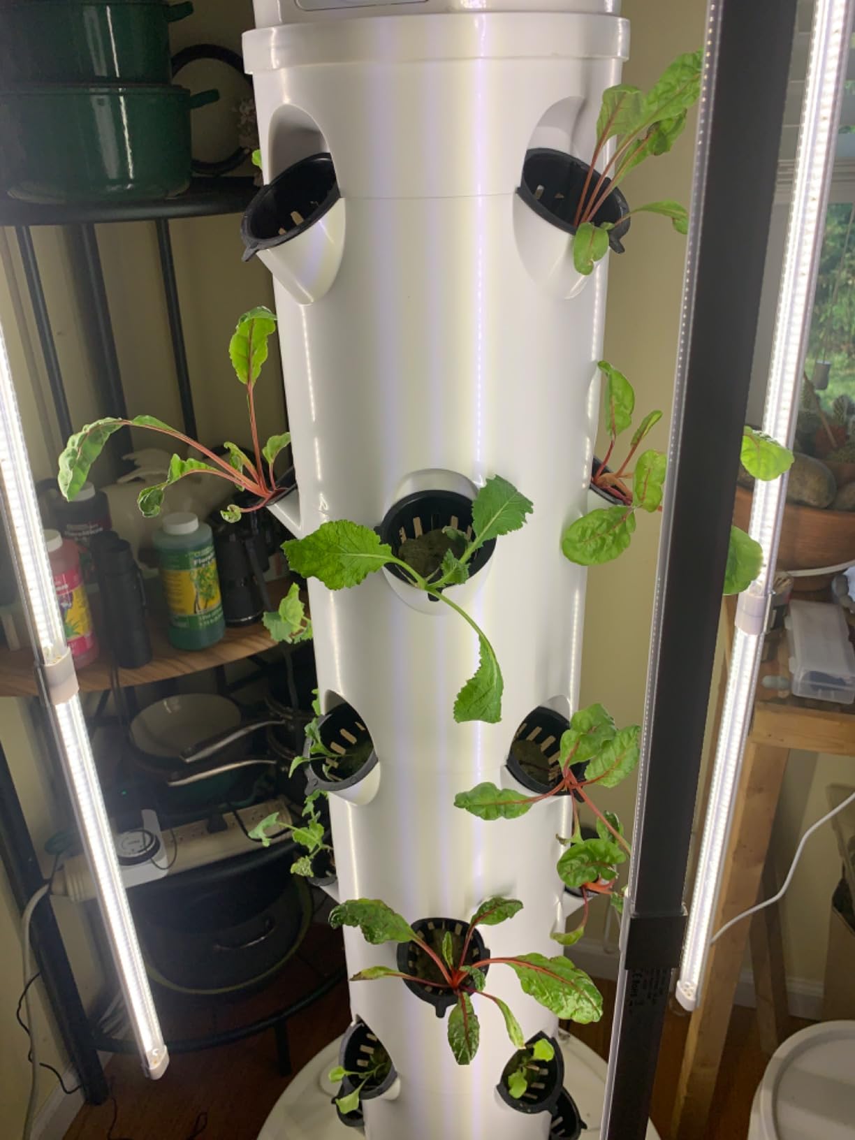 GX Hydroponic Tower | Vertical Planter Tower | Hydroponics Growing System Kit | Food Grade with 24 Net Pots (with LED Grow Lights) customer photo 1