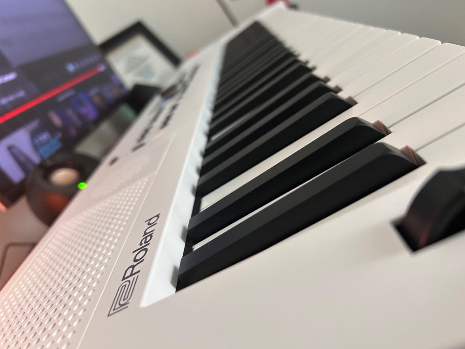 Roland GO:KEYS 5 Music Creation Keyboard, 61-Note, Graphite customer photo 1
