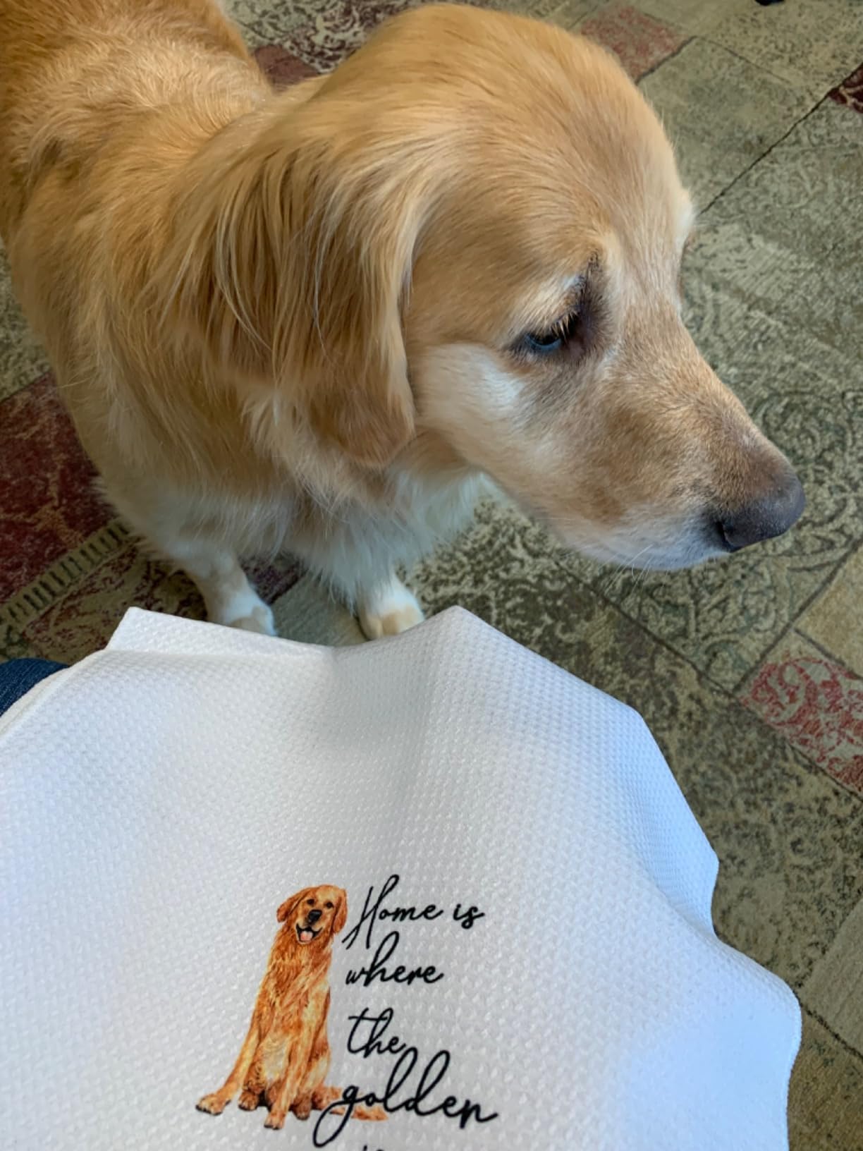 Jvpke Black and White Dog Dish Hand Towels for Kitchen Bathroom 16x24 - Dog Lover Gifts for Women Mom, Dogs Decor for Bathroom Home customer photo 1