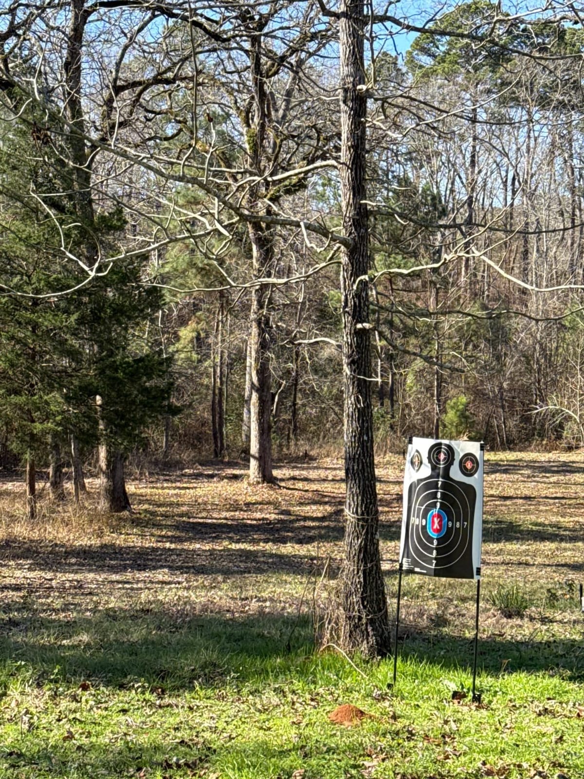 Adjustable Target Stand Set with 10 Paper Targets, Two Mounting Options for Outdoor Shooting, Stable Holder with Metal Poles and Ground Nails customer photo 1
