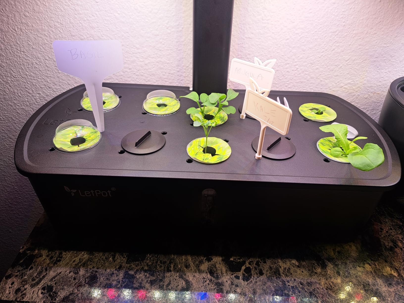 LetPot LPH-Air Hydroponics Growing System Kits, APP & WiFi Controlled Smart Indoor Garden with Adjustable 24W Grow Light Full Spectrum, 10 Pods Planter Indoor Gardening for Gifts, Kitchen, Vegetable customer photo 2
