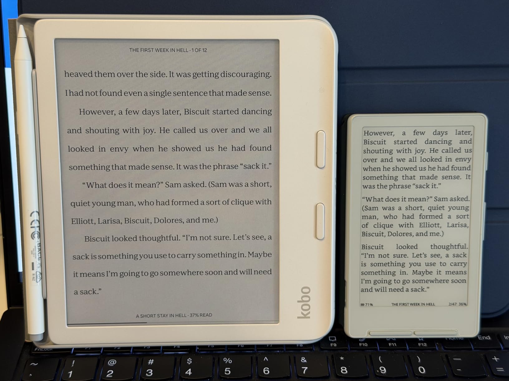 Kobo Libra Colour eReader, 7” Color E Ink, Waterproof, White | 7” Color E Ink Kaleido 3, Dark Mode, Waterproof, eBooks, Audiobooks, Recycled Materials customer photo 2