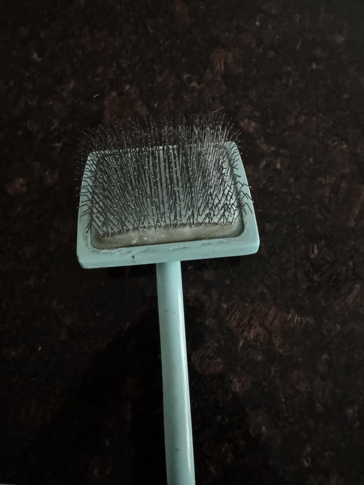 Chris Christensen Big G Dog Slicker Brush for Dogs (Goldendoodles, Labradoodles, Poodles), Groom Like a Professional, Fluff Detangle Style, Saves Time Energy, Teal, Large customer photo 1