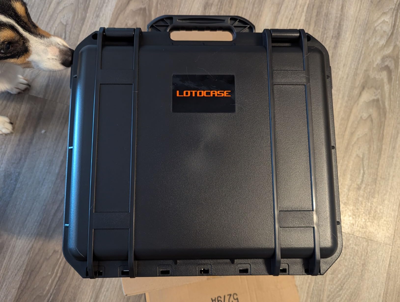 TSA Pistol Gun Case for Handguns - Help Organization for Firearm Collectors customer photo 1