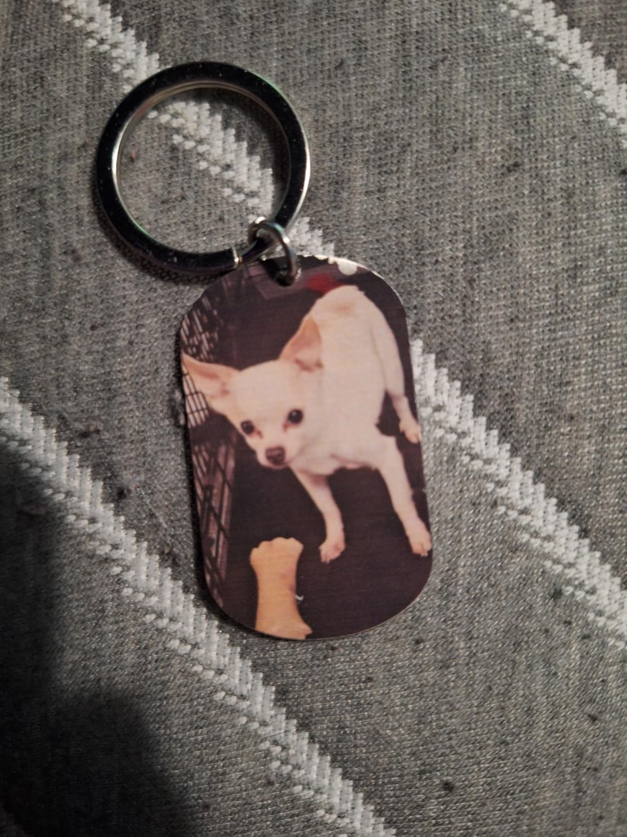 Pet Memorial Gifts, Personalized Pet Photo Keychain, Custom Pet Memorial Keychains, Pets Remembrance Gift, Loss of Pet Sympathy Gifts, Dog Memory Gift for Loss of Dog, Dogs Cats Passing Away Present customer photo 1