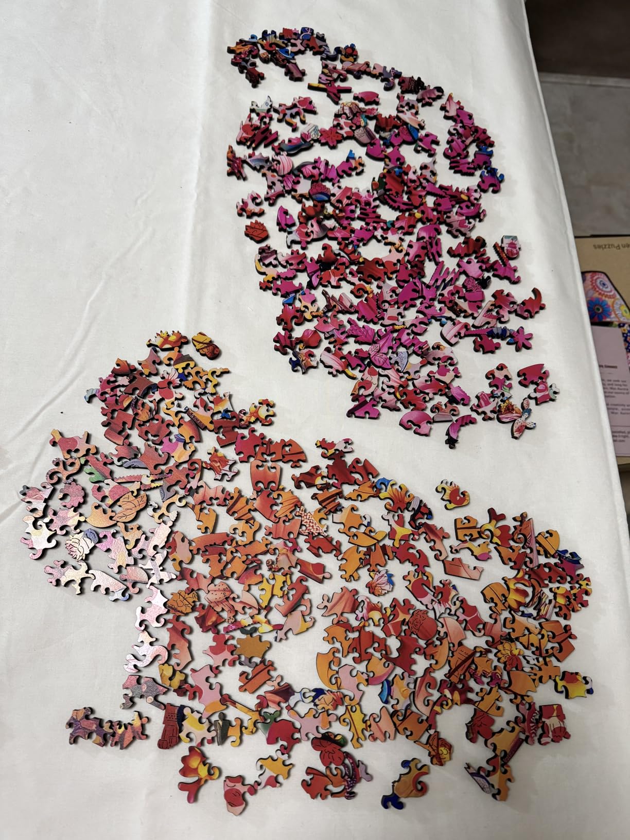 Mys Aurora Puzzles for Adults Cactus Flower Wooden Puzzles, 200 Pieces customer photo 1