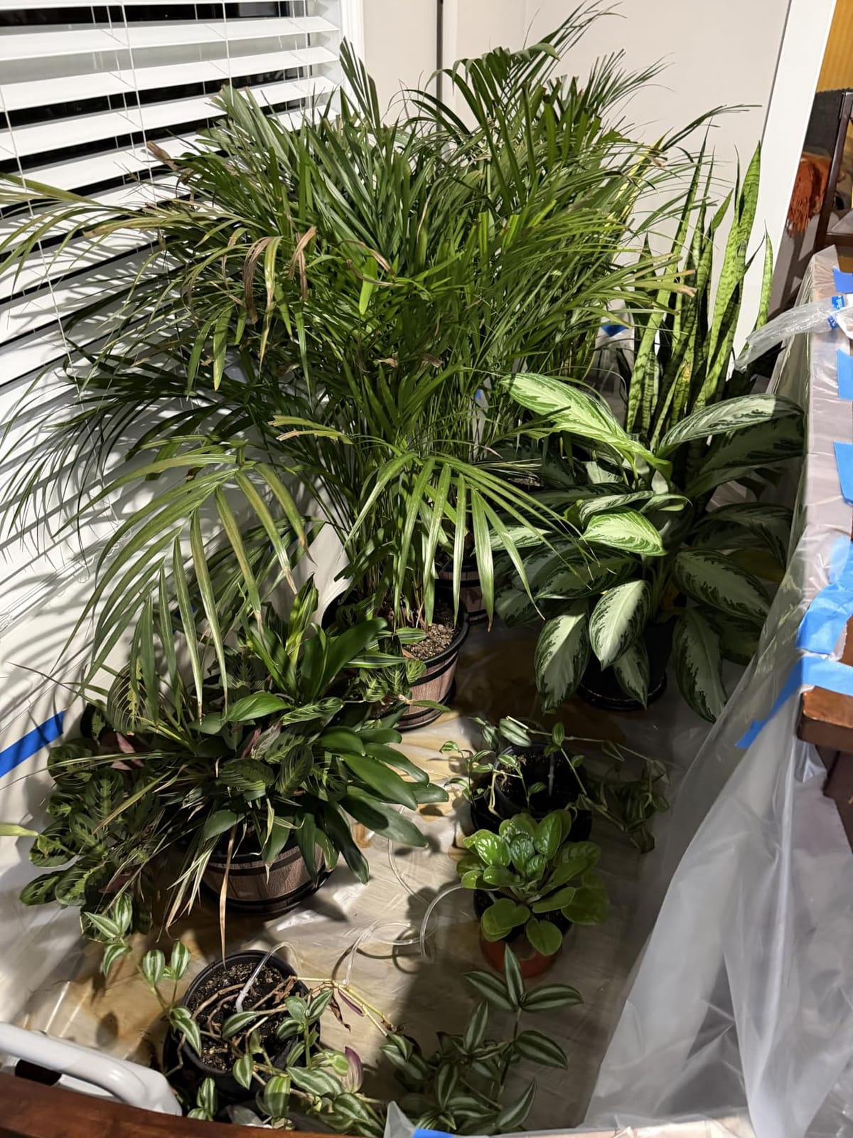 Automatic Watering System, 15 Potted Indoor Houseplants Support Plant Waterer, Vacation Plant Watering Devices, with Digital Programmable Water Timer customer photo 2