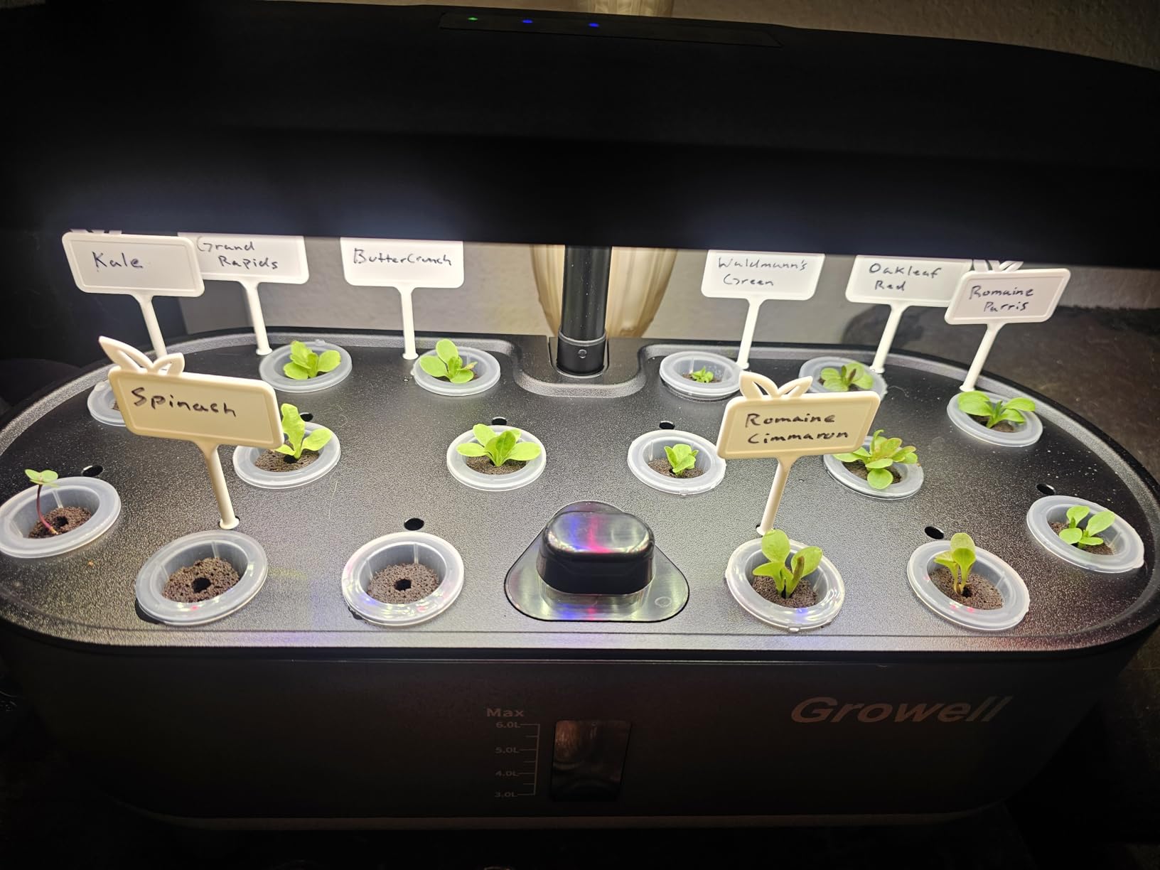 Growell Hydroponics Growing System Kit, 16 Pods Indoor Garden with 28W Full Spectrum LED Grow Light, Auto Timer, 3 Smart Light Modes, 8L Large Herb Garden, Ideal Gardening Gift for Women, Men (Gray) customer photo 2