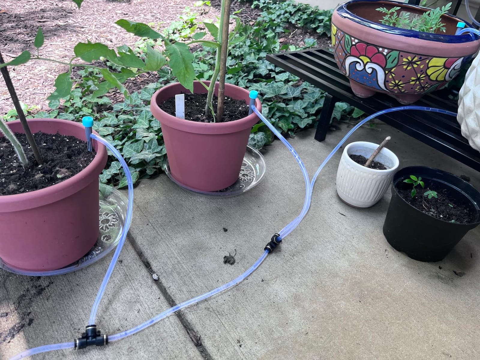 Automatic Watering System for Potted Plants | Indoor Plant Waterer with Programmable Timer, Dual Self-Priming Pumps, Drip Irrigation Kit for Up to 20 Plants customer photo 1