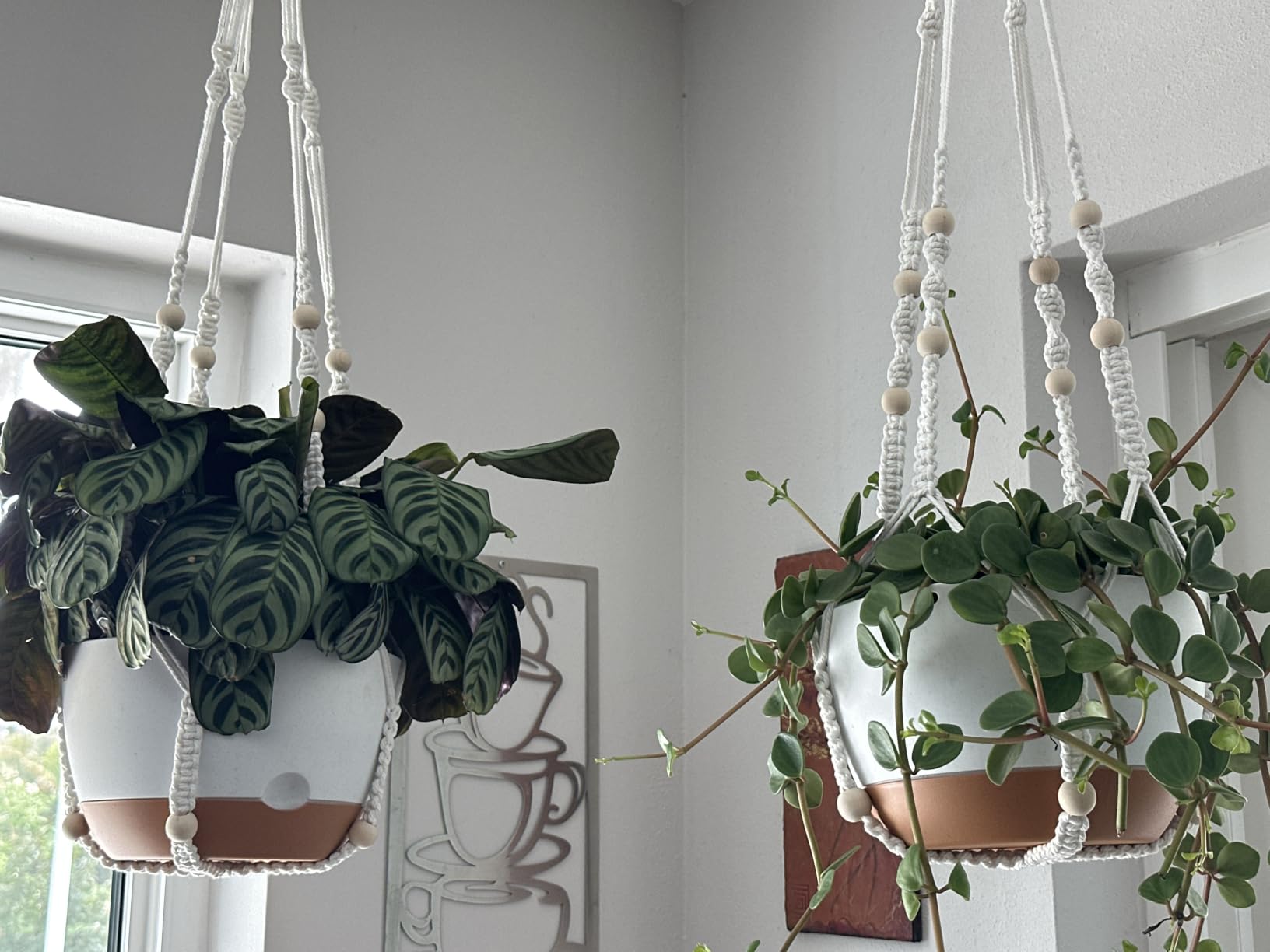 Set of 2-10 Inch Hanging Planters for Indoor Plants with Self-Watering Includes Hanging Pots for Plants, Outdoor Hanging Plant Pot with Drainage, and 2 Types of Hanging Baskets Hangers (White, 10inch) customer photo 1