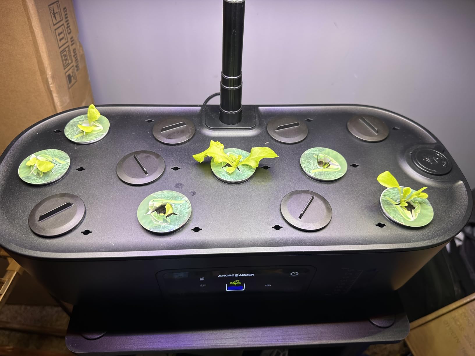 Ahopegarden Hydroponics Growing System Kit: 12 Pods with LCD Control Panel customer photo 2