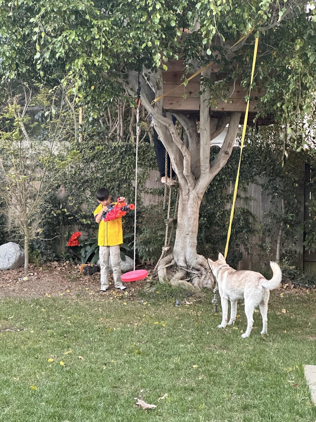 Dog Bungee Tug Toy Hanging from Tree, Outdoor Interactive Tether-Blue customer photo 2