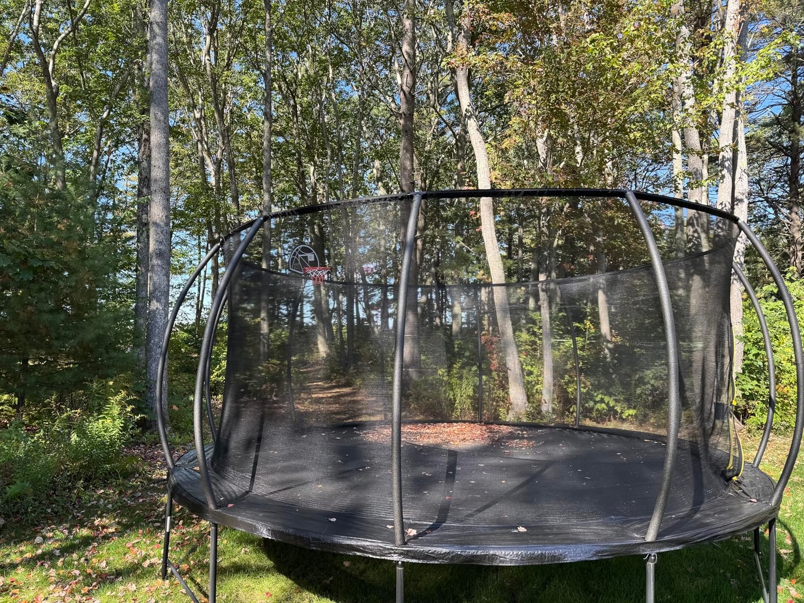 Lyromix 12 14 15 16FT Outdoor Trampolines for Kids and Adults, Pumpkin Trampolin with Curved Poles, Recreational Trampolin with Basketball Hoop and Safety Enclosure Net for Kids and Adults customer photo 2