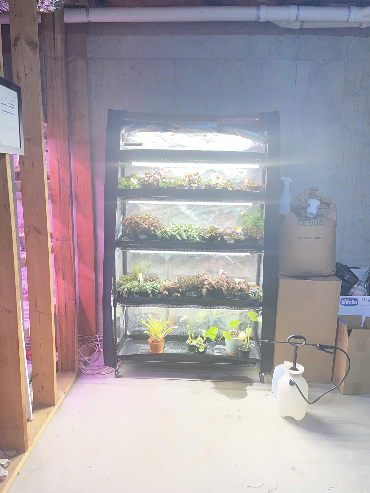 Spider Farmer 4 Tier Plant Stand with Grow Lights Indoor Greenhouse Shelf customer photo 2