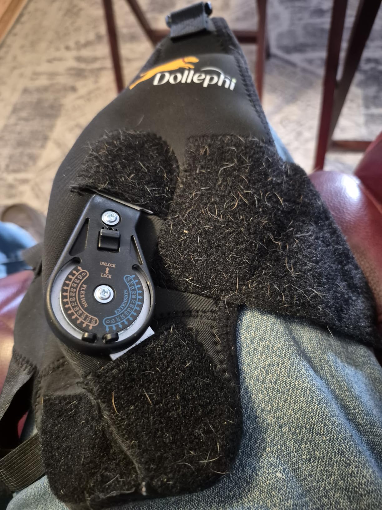 Dog Knee Brace for Torn ACL Hind Leg - Adjustable Hinge Stabilize, Right Leg L - Osteoarthritis, Cruciate Ligament Injury Recovery (Patent Pending) customer photo 1