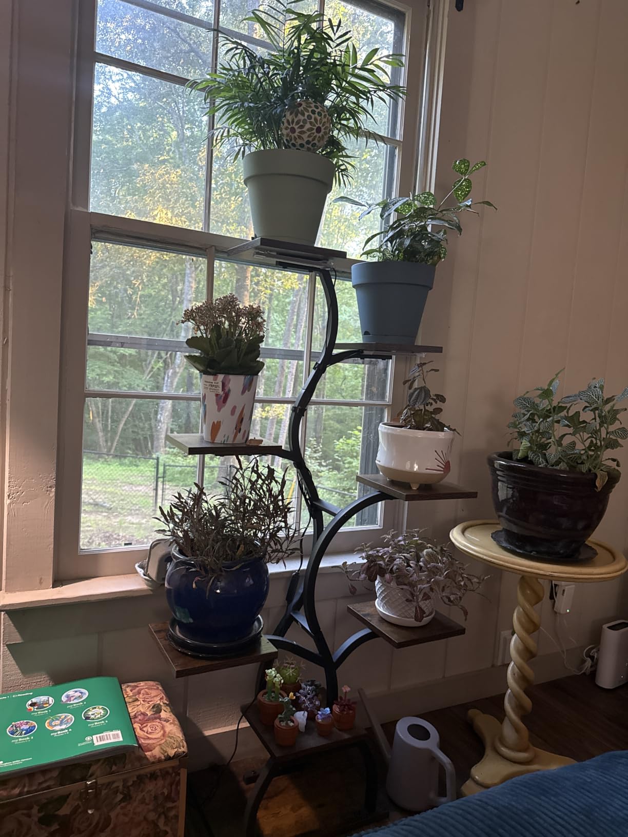 Plant Stand Indoor with Grow Light - 8 Tiered Corner Plant Shelf Indoor customer photo 1