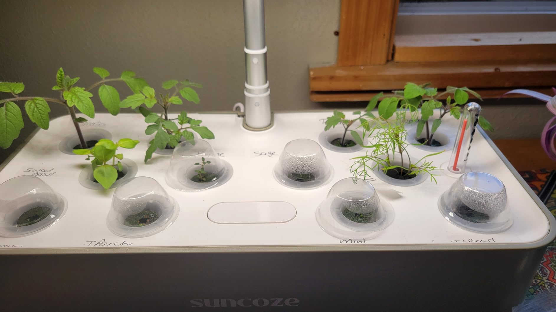 SUNCOZE Hydroponics Growing System, Compact 12 Pods Indoor Garden, Black customer photo 1
