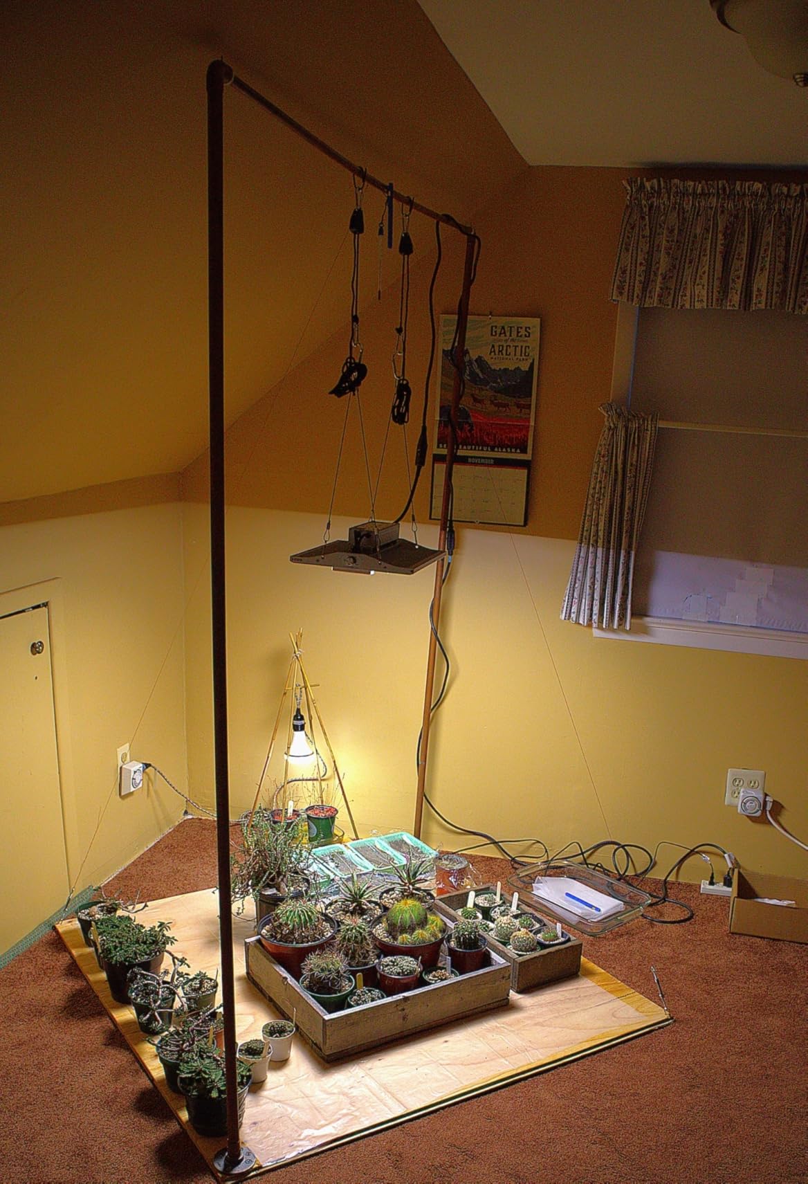 70 Watt Grow Light, Dimmable Plant Light, LED Grow Lights for Indoor Plants customer photo 1
