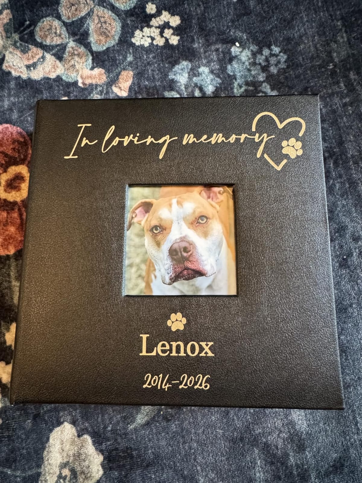 Personalized Pet Memorial Photo Album, Holds 200 4 inch x 6 inch Photos, Engraved In Loving Memory Pet Leatherette Picture Album, Loss of Dog Gift, Dog Sympathy Gift, Brown customer photo 1