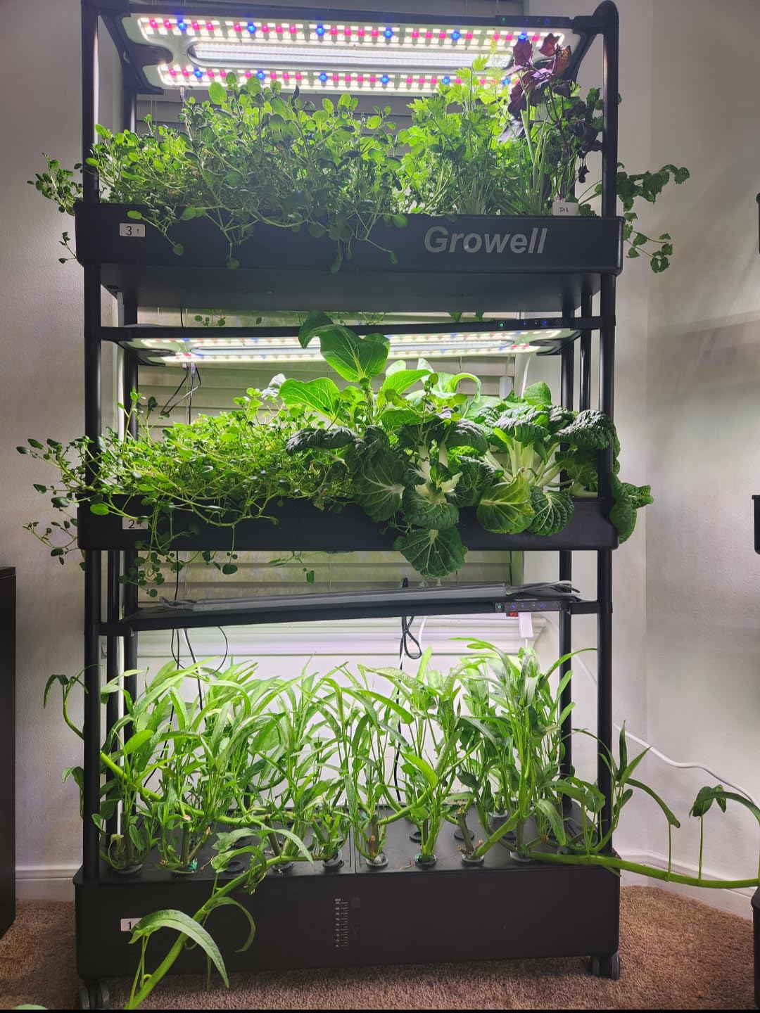 Growell Large Hydroponics Growing System Kit, 60 Pods Vertical Hydroponic Garden with 2 Light Modes Grow Light, Auto Circulating Water System, 32L Indoor Gardening System for Herb Vegetable Fruit customer photo 2