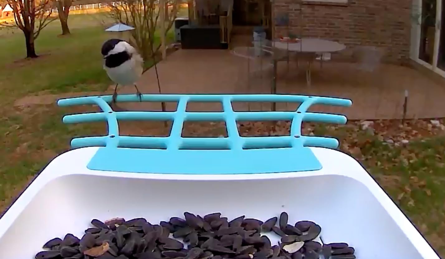 Smart Bird Feeder with Camera, 2.5K Live Cam, Ideal Gift for Seniors customer photo 2