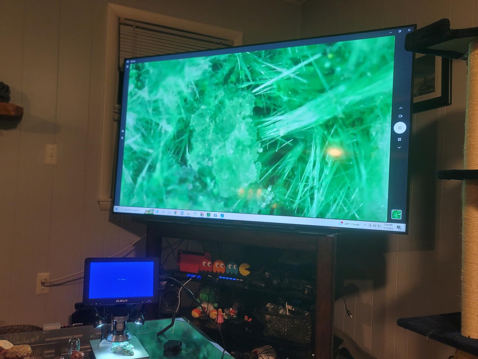 Elikliv Magnetic 3-Lens Digital Microscopes, 4K 10.1