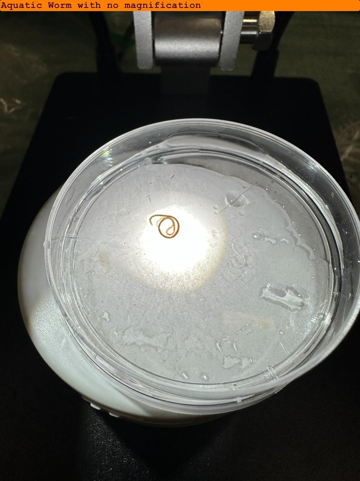 Elikliv Magnetic 3-Lens Digital Microscopes, 4K 10.1