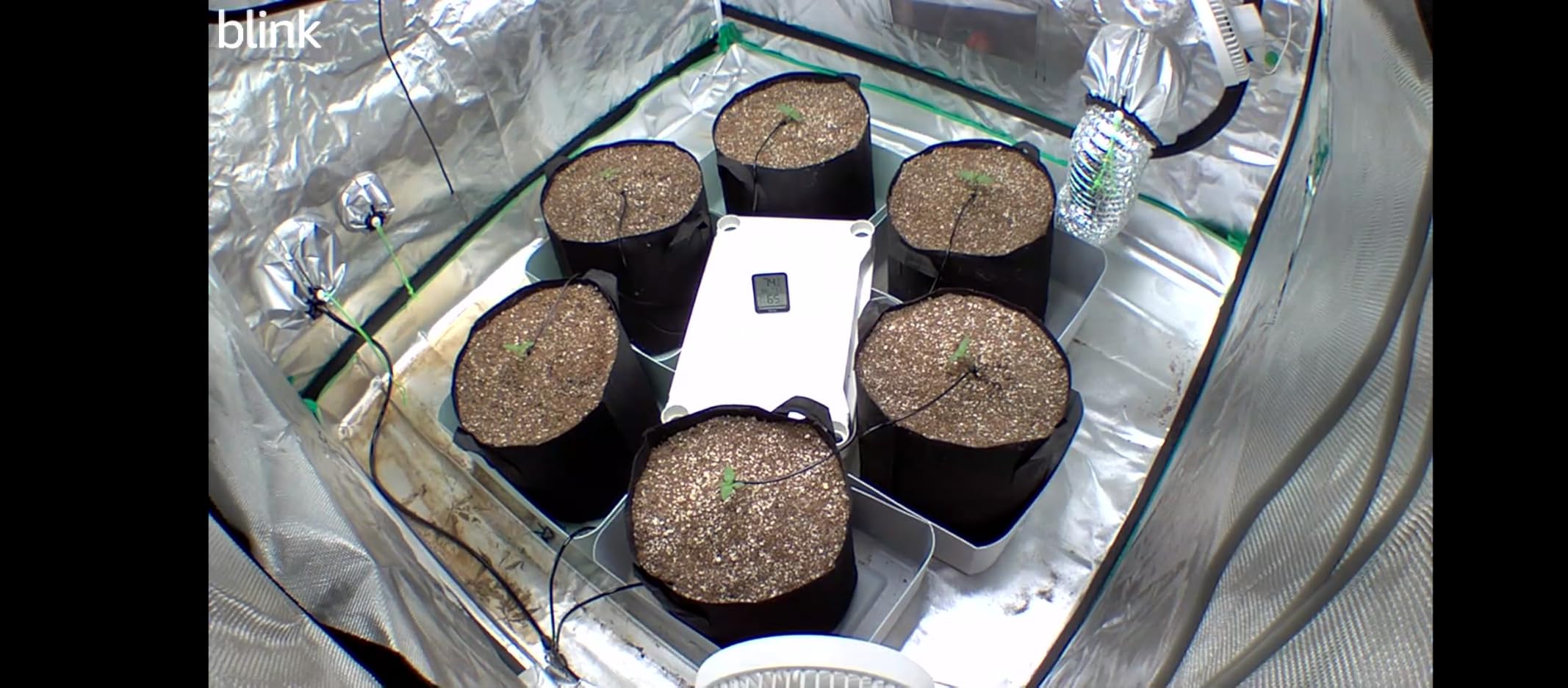 VIVOSUN Automatic Drip Irrigation Kit, Smart Watering System customer photo 2