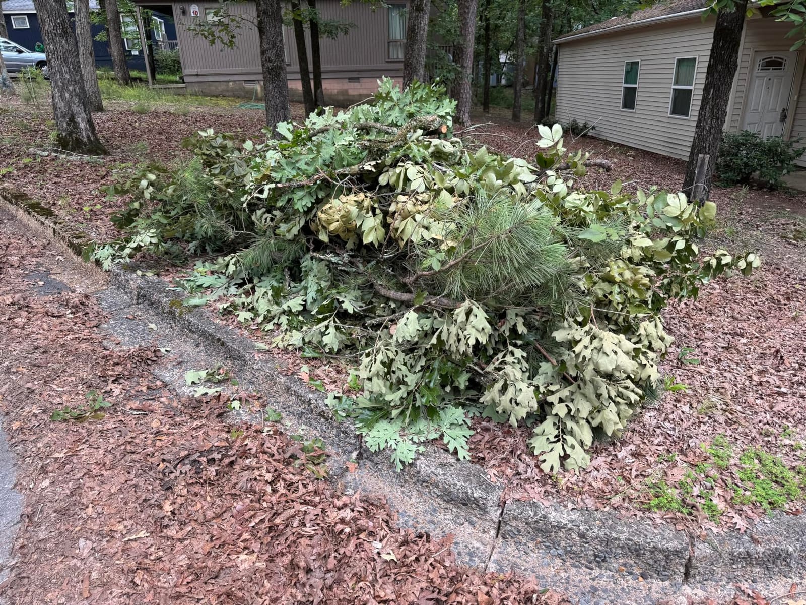 Brushless 2-IN-1 Cordless Pole Saw & Mini Chainsaw, 8 Inch Max Reach 16 Ft customer photo 1
