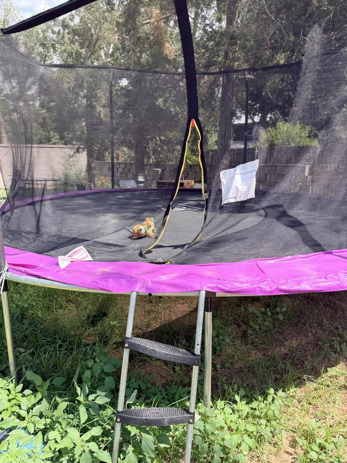 8FT 10FT 12FT 14FT Outdoor Trampoline with Basketball Hoop and LED Lights, ASTM Approved Recreational Trampolines for Kids and Adults with Net and Ladder customer photo 1
