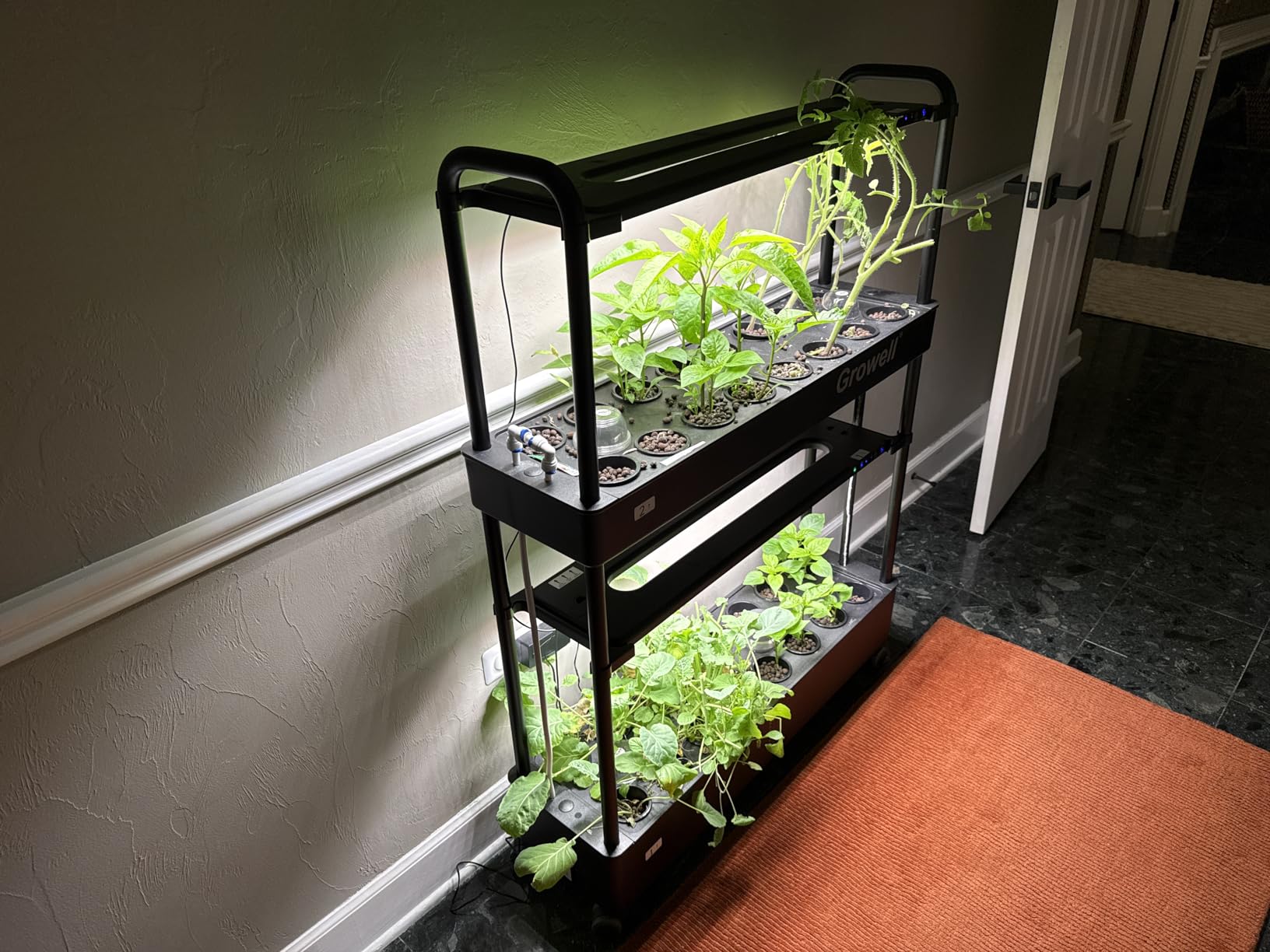Growell Hydroponics Growing System Kit, 81 Pods Vertical Indoor Herb Garden with Smart LED Grow Light, Auto Circulating Water Pump Each Tier, 42L Hydroponic Gardening Systems for Ideal Gifts (Black) customer photo 2