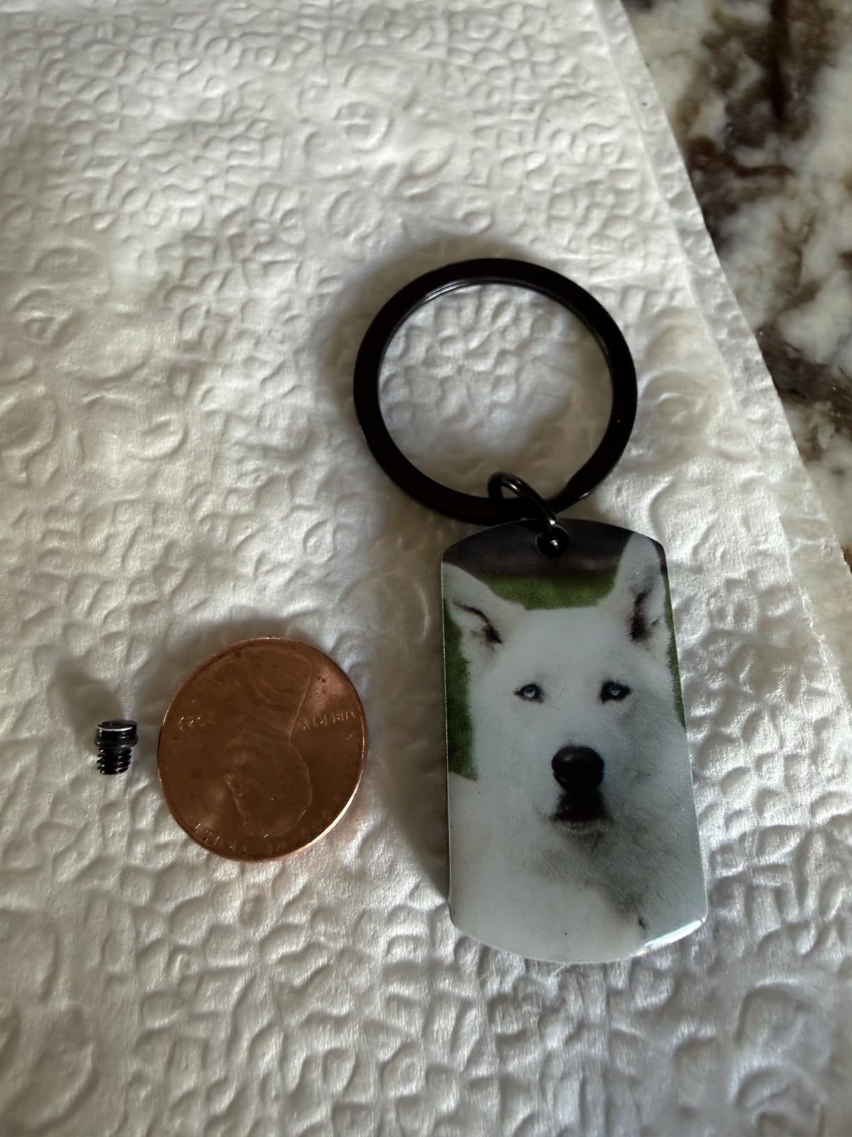 QYH Personalized Urn Keychain for Ashes with Photo and Text, Pet Keepsake | Stainless steel; UV color photo; double-sided laser engraving; small compartment for pet ashes or fur customer photo 1