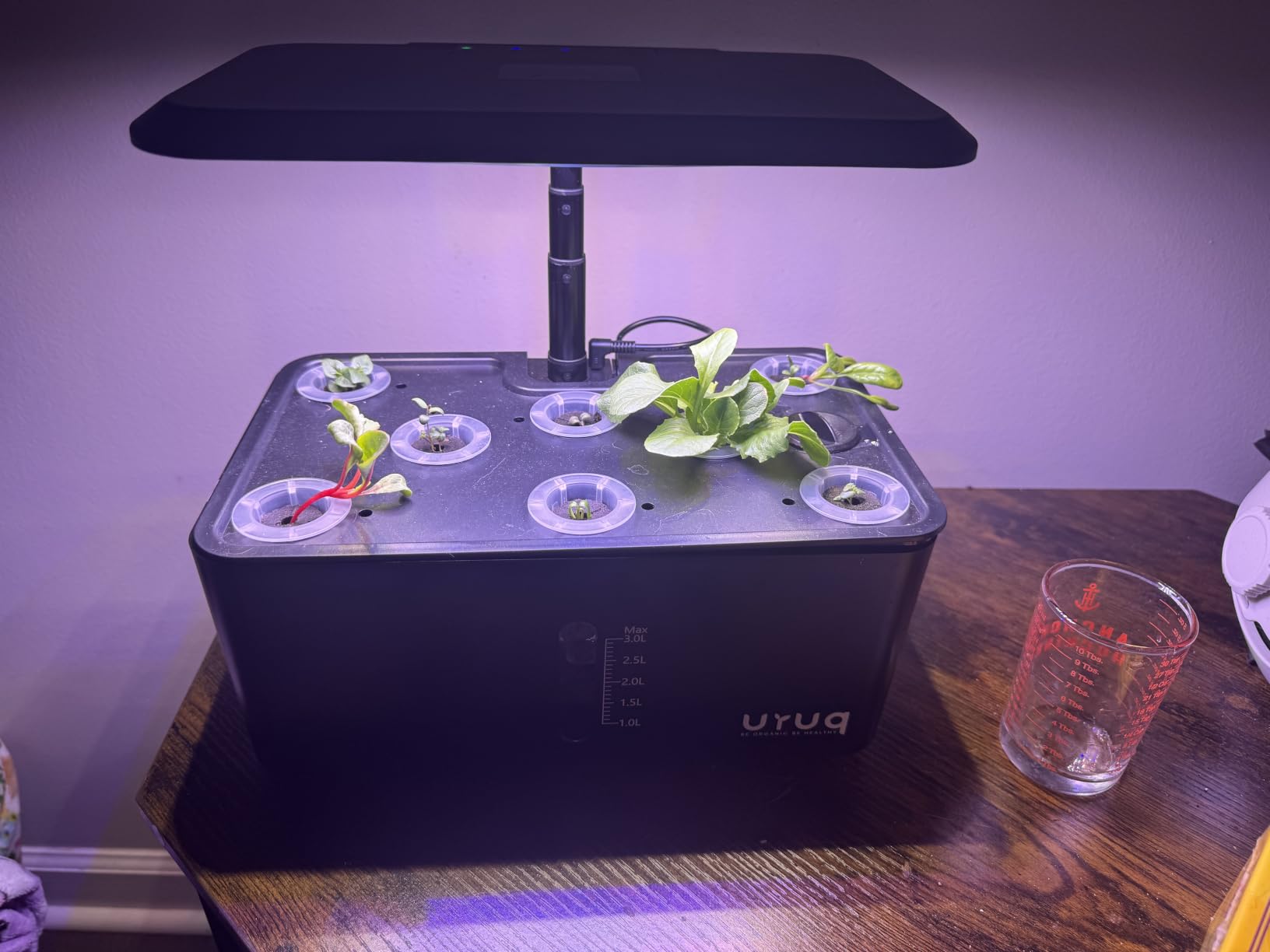 URUQ 8 Pods Hydroponics Growing System with LED Grow Light - Black | Quiet Water Pump, Automatic Timer, Adjustable Height for Fresh Herbs, Vegetables, Indoor Kitchen Gardening Gifts for Women customer photo 2