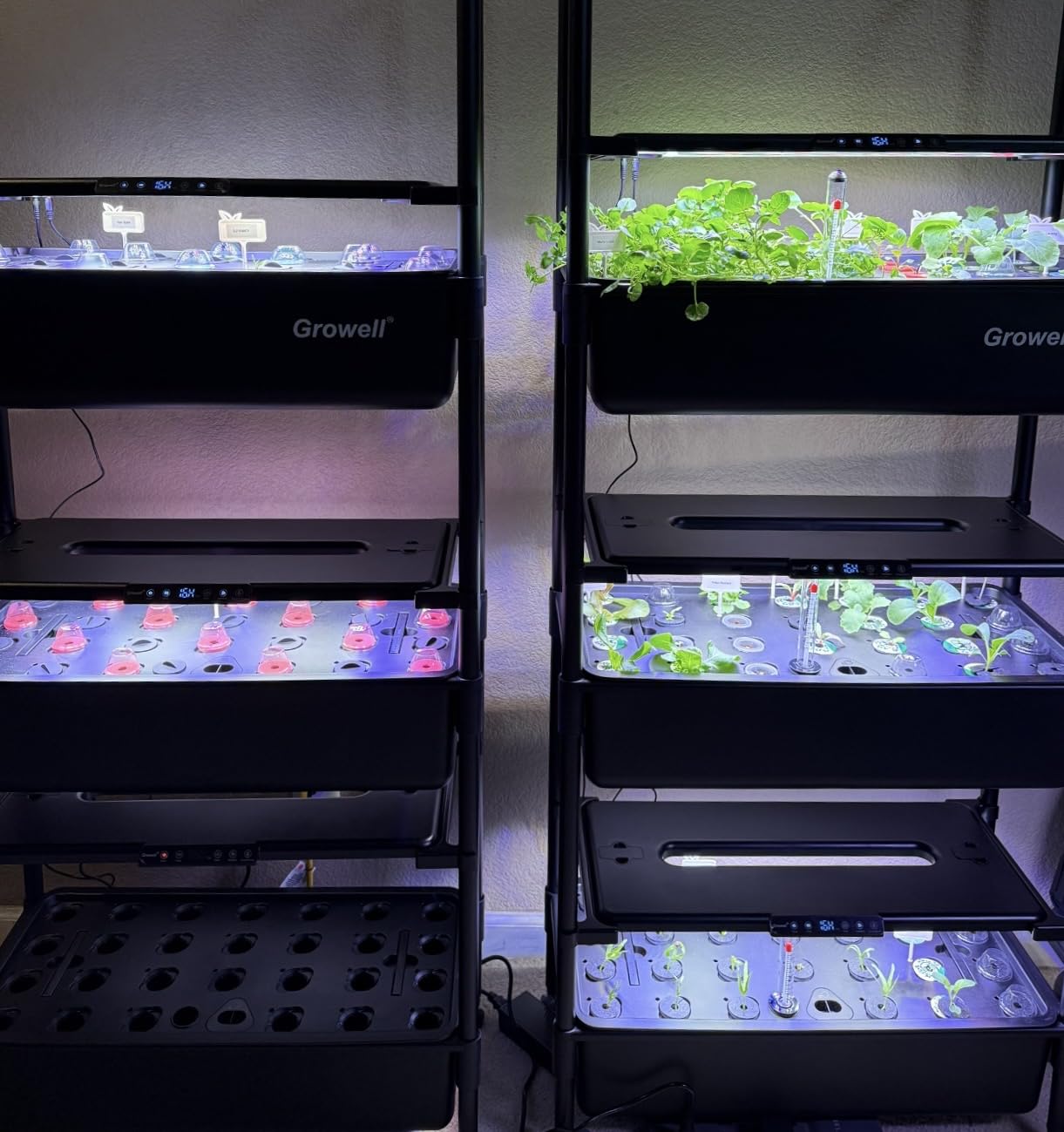 Growell 54 Pods Hydroponics Growing System Kit with Independent Water Pump customer photo 1