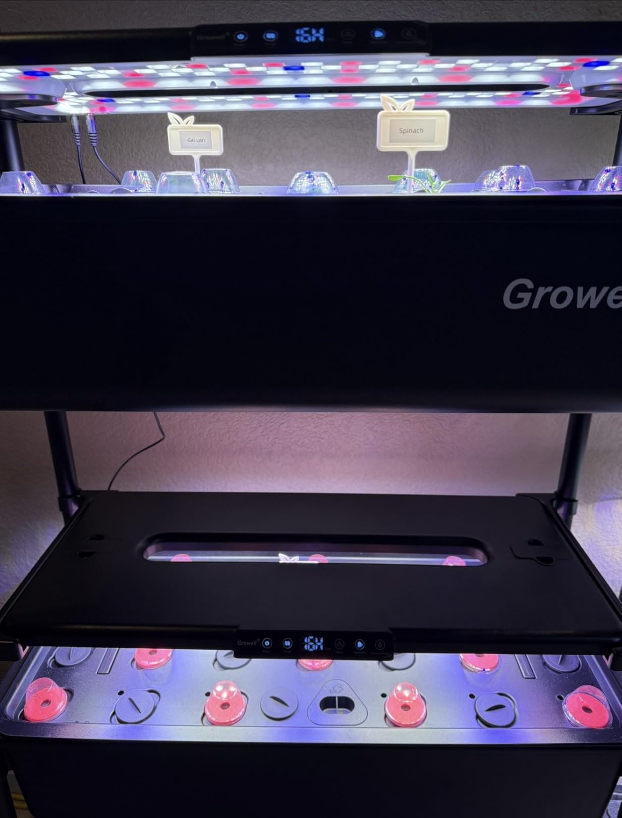 Growell 54 Pods Hydroponics Growing System Kit with Independent Water Pump customer photo 2