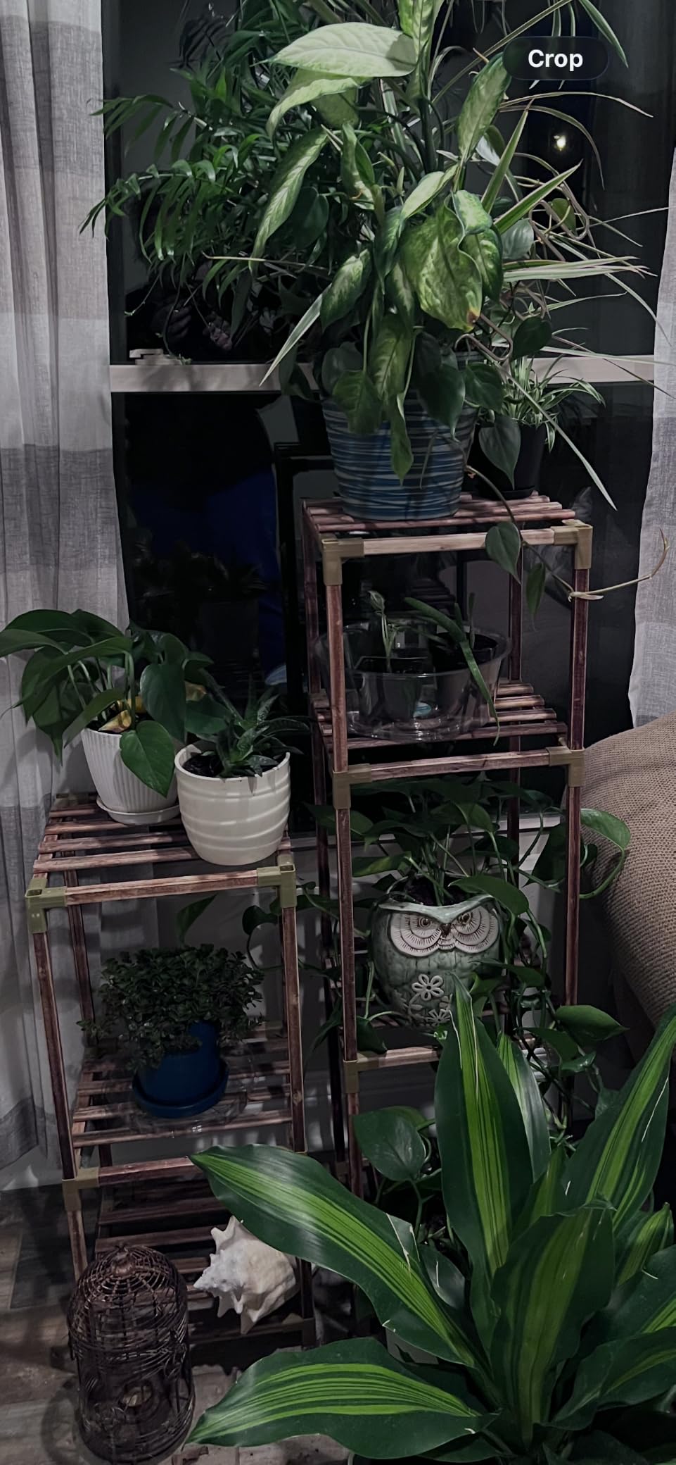 Bamworld Plant Stands with Grow Lights Indoor 4 Sets Plant Shelves Outdoor customer photo 1