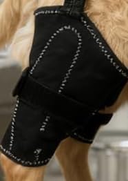 Vivifying Dog Hip & Leg Support Harness for Mobility Assistance, Adjustable Rear Leg Brace with Lift Handle for Injured or Senior Dogs, Joint Stabilizing Hind Leg Support for Walking, Recovery (L) customer photo 1
