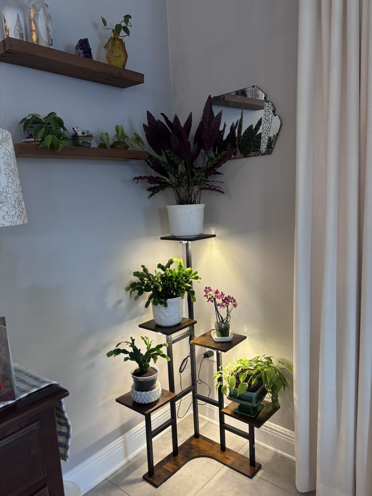 Corner Plant Stand Indoor with Grow Lights 6 Tiered Corner Plant Shelf customer photo 1