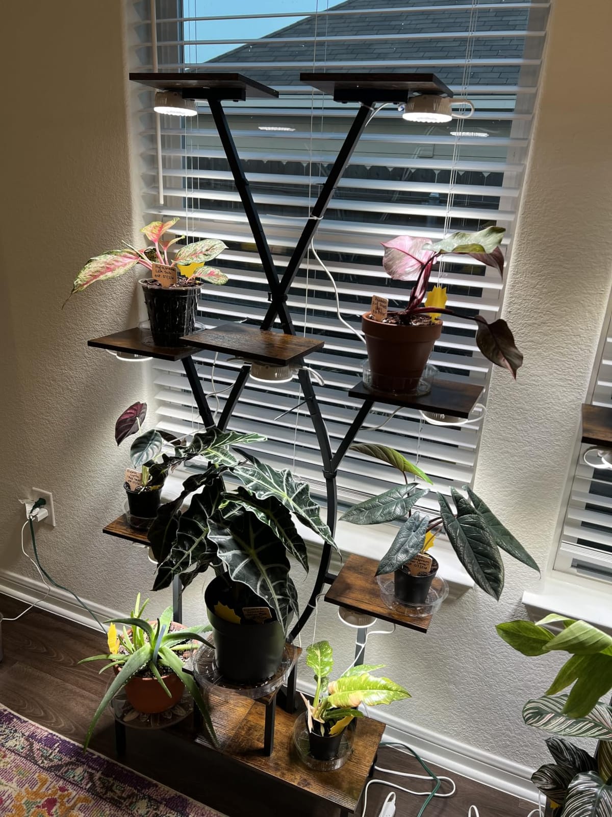 JUSTOGO Plant Stand Indoor with Grow Lights - 9 Tiered Tall Plant Shelf customer photo 1