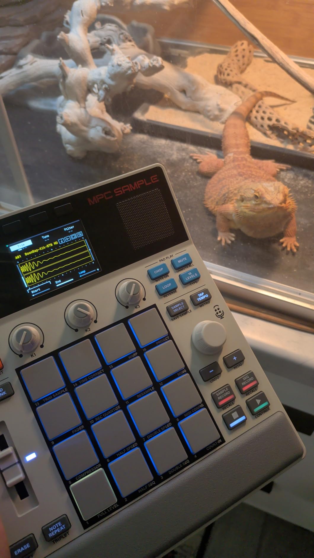 Akai Professional MPC Sample Portable Sampler customer photo 1