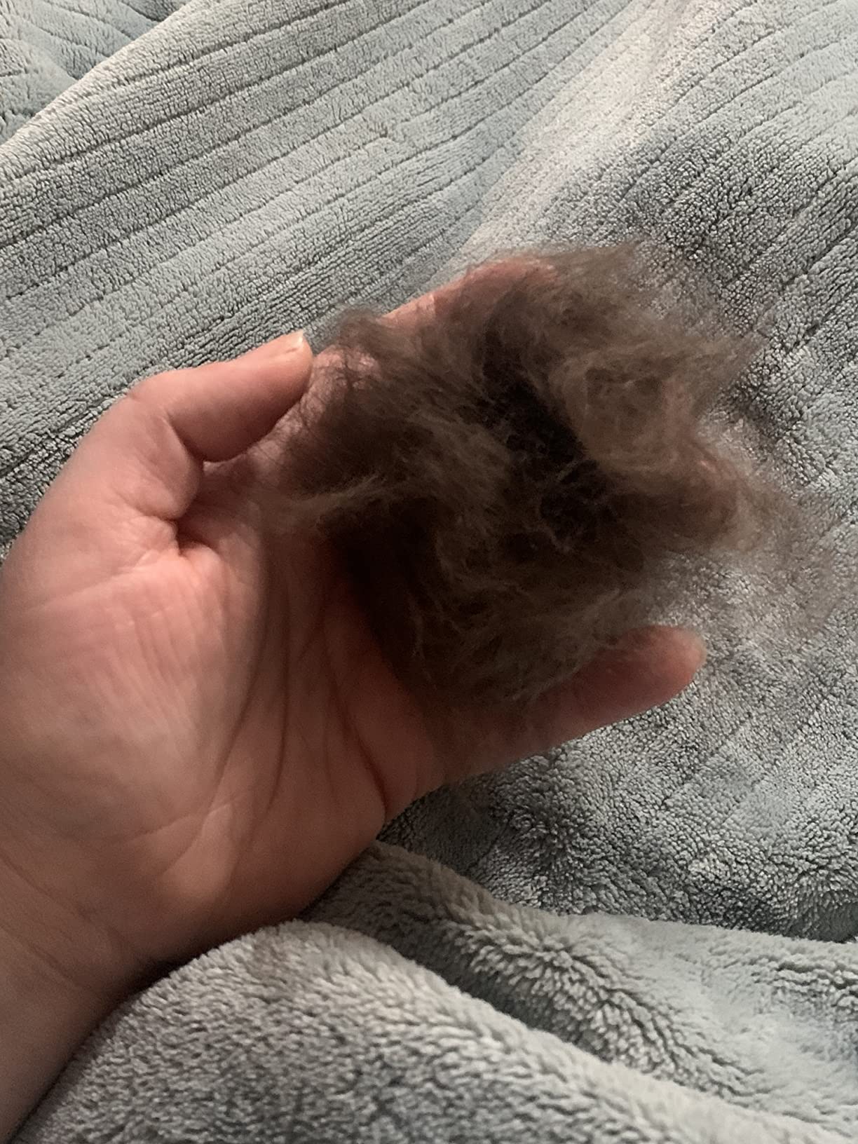 Pecute Self-Cleaning Undercoat Rake for Dogs Cats with Thick Double Coats | 1-click clean, 304SS, 18 rounded teeth, For seasonal heavy shedding & matting, Gentle on pets, Ideal for long/dense coats customer photo 2