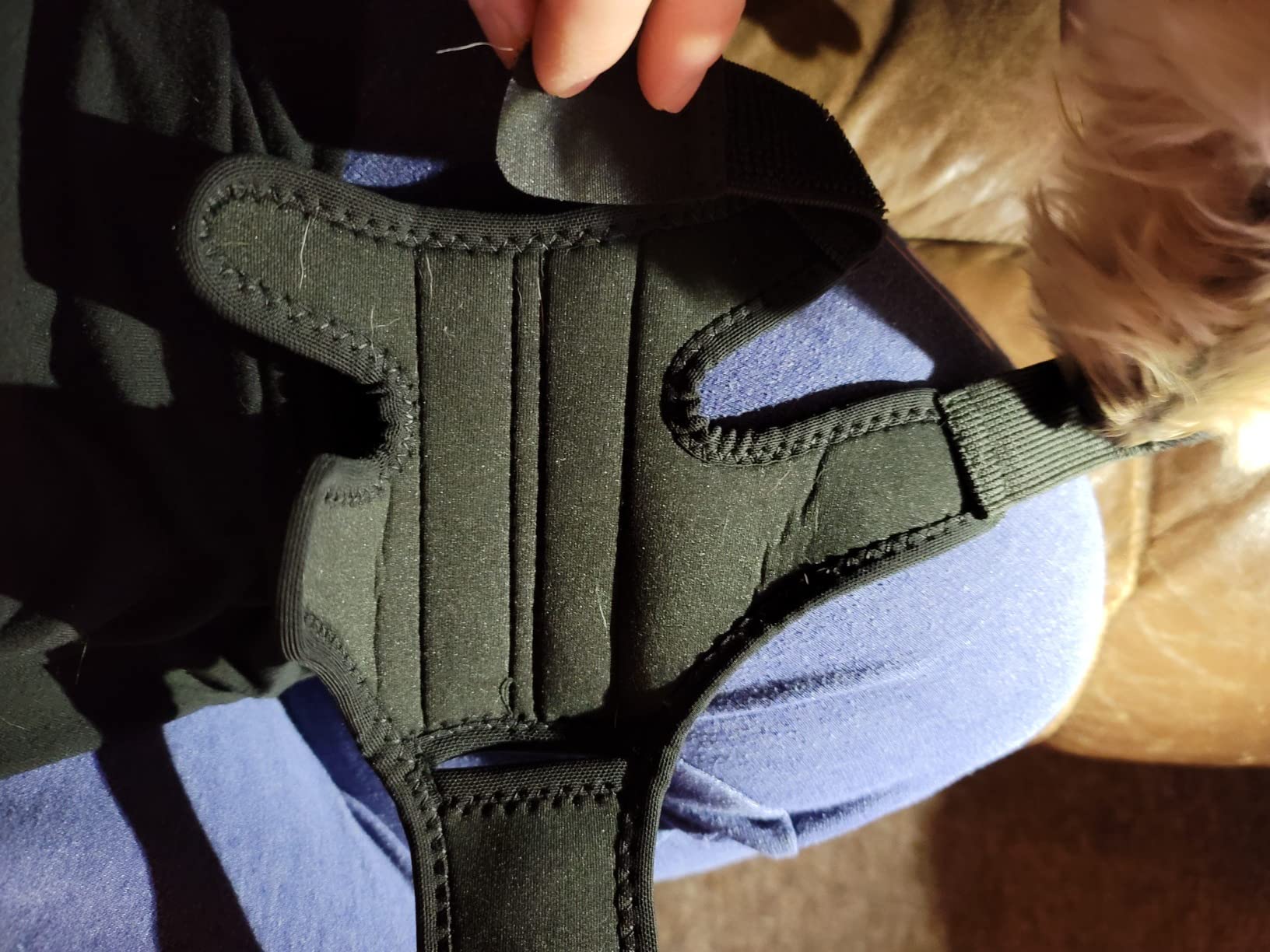 Dog Knee Brace for Torn ACL Hind Leg, Canine Leg Support for ACL/CCL & Cruciate Ligament Conditions, Arthritis Support, Adjustable & Durable, Black, Size M customer photo 1