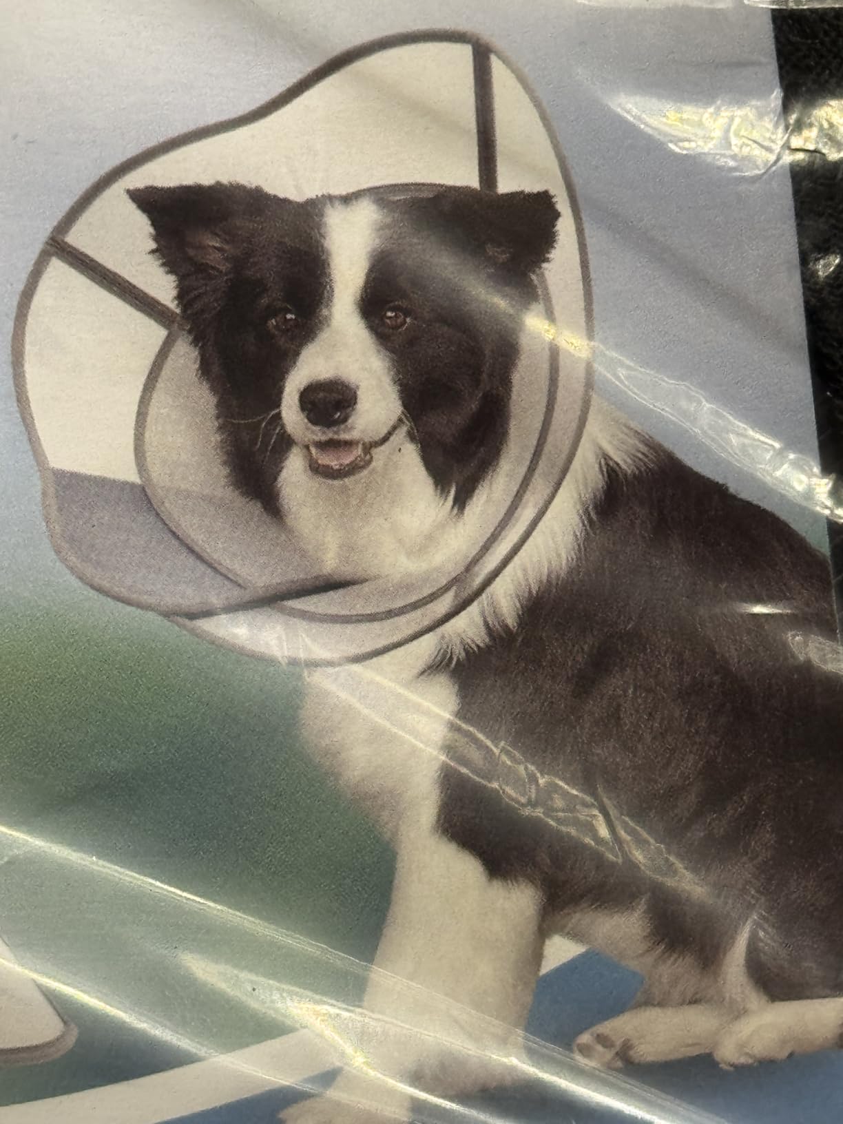 Dog Cone to Stop Licking, Soft Dog Cone Collar Alternative After Surgery | Adjustable Transparent Recovery Collar, For Large Medium Dogs, Breathable Elizabethan E-Collar, Black, L customer photo 2