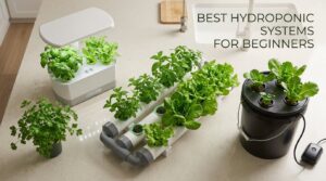 best hydroponic systems for beginners