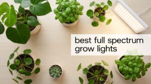 best full spectrum grow lights