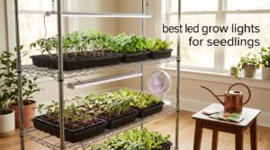 best led grow lights for seedlings